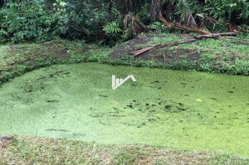 Imagem 5 de 17 de Chácara No Balneário Gaivota, Em Itanhaém Ch003