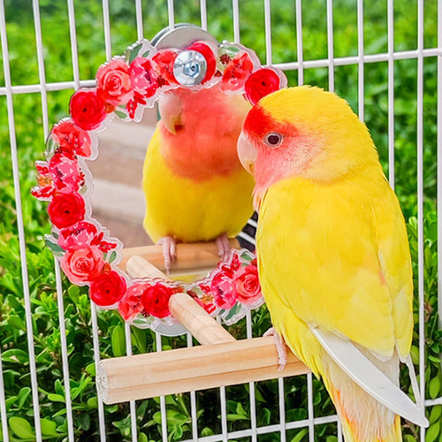 Espejo De Pájaro Con Soporte, Juguete De Espejo Fácil De