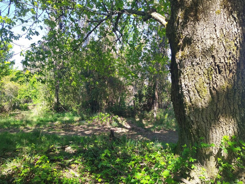 Hermosa Parcela En Venta En Gorbea