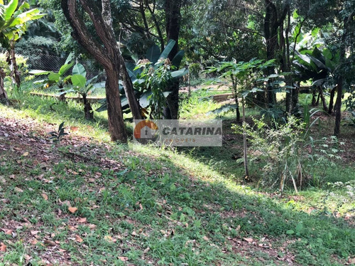 Imagem 6 de 14 de Terreno Em Condominio
