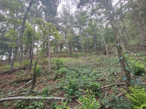 Terreno Ventas Manabao Jarabacoa