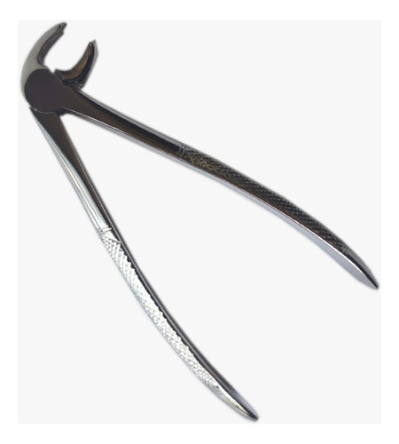 Forceps Dental Curvo Sobre El Borde-pico De Loro