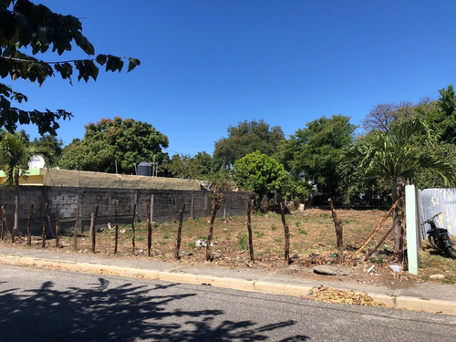 Solar En Venta En Sabana Grande De Palenque