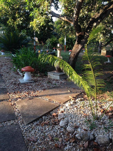 Imagen 16 de 21 de Se Vende Finca Terreno Propio En Taguanes Tinaquillo Edo Cojedes Cod 163349