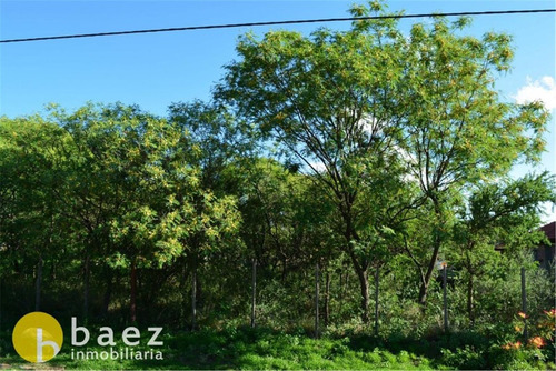 Lote De 1250m2 En Carpintería