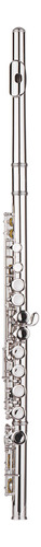 Agujero Para Destornillador Flute Flute Flutes.key, 16 Orifi