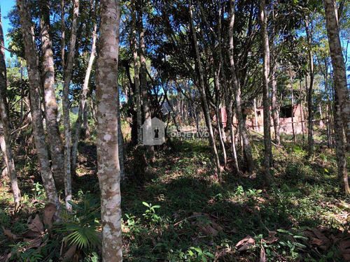 Imagem 6 de 25 de Terreno, Dos Neves (caucaia Do Alto), Cotia - R$ 75 Mil, Cod: 4255 - V4255