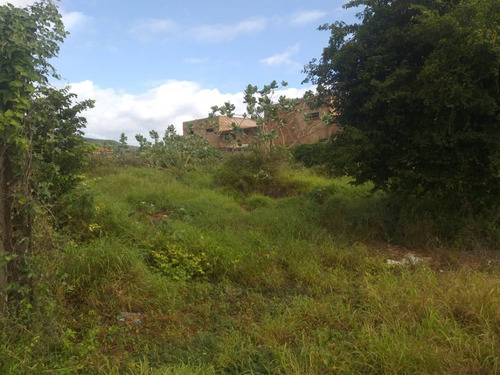 Imagen 12 de 12 de Amplio Terreno Vía Guacuco Con Sus Servicios. Tapiado Y Con Proyecto 22-19040