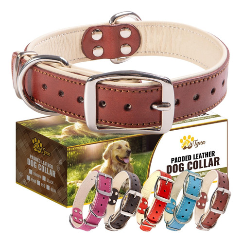 Adityna Collar De Cuero De Alta Calidad Para Perros Medianos