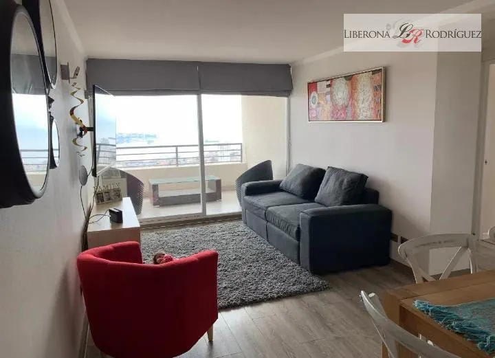 Imagen 1 de 15 de Departamento En Arriendo, Cerro Las Delicias