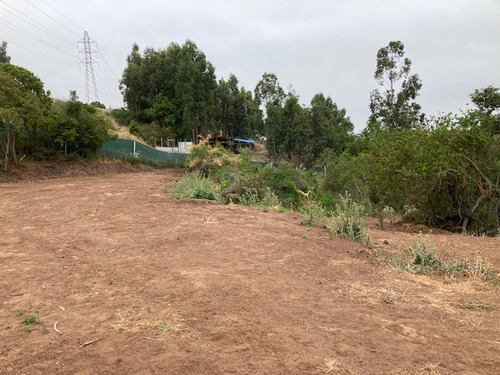 Se Vende Terreno 3.800 M2 Con Cabaña 72 M2 Uf 4.650 Quintero
