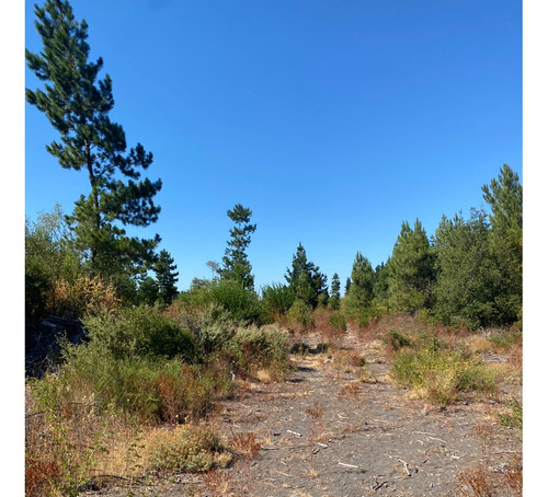 Se Vende Terreno De 6,17 Hectáreas, En Sector Cerro Colorado