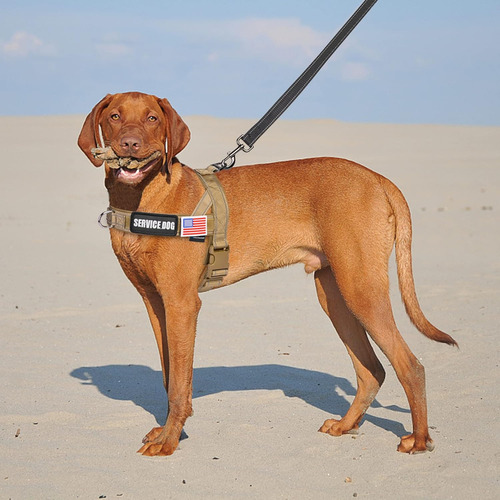 Arnés Para Perro Sin Tirones Con Funda Para Airtag Y Dos Par