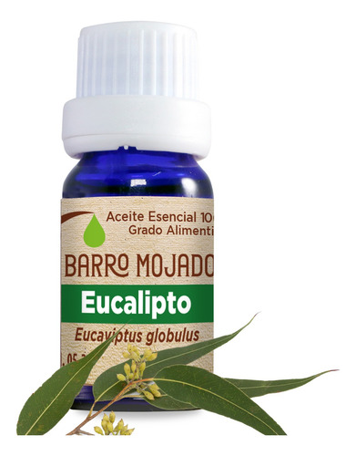 Aceite Esencial Eucalipto Grado Alimenticio