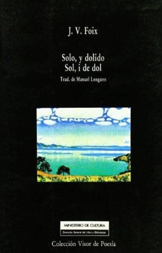 Solo , Y Dolido, De Foix J.v.. Editorial Visor, Tapa Bland 