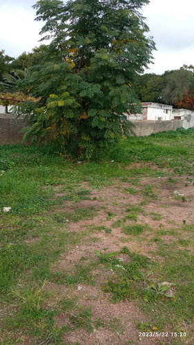 Venta De Terreno En La Paz