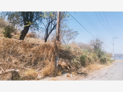 Terreno En Venta Tequesquitengo