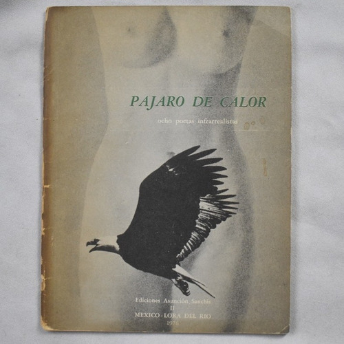 Pajaro De Calor Ocho Poetas Infrarealistas 1976. Bolaño