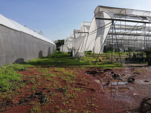 Terreno Urbano En Pedregal De Las Fuentes, Jiutepec, Morelos - Ari-607-tu