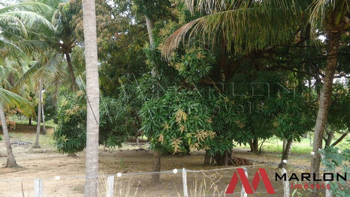 Imagem 11 de 14 de Terreno Em Nizia Floresta