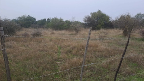 Parcela De 5000 M2 En San Nicolás-ñuble