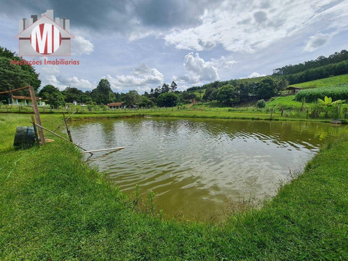 Imagem 17 de 21 de Ótima Chácara Com 03 Dormitórios, Lago, Nascente, Pomar, Bem Localizada, À Venda, 4000 M² Por R$ 540.000 - Rural - Socorro/sp - Ch0869