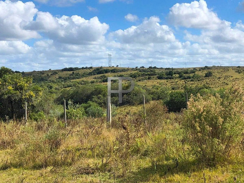 Imagen 7 de 12 de Campo En Venta Las Cañas 77 Hectáreas