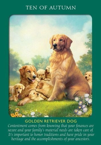 Imagen 5 de 8 de Animal Tarot Cards, Este Tarot Esta En Ingles, Por Doreen Vi