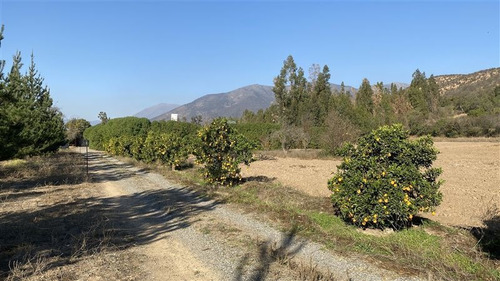 Imagen 16 de 16 de Sitio En Venta En Olmué