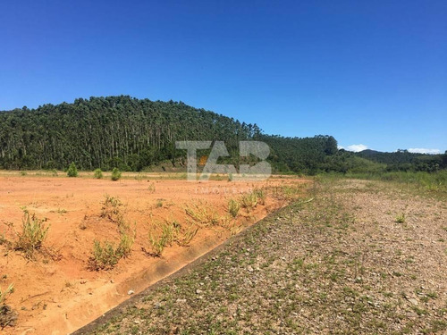 Imagem 8 de 11 de Terreno Para Venda - Itajaí - 121693