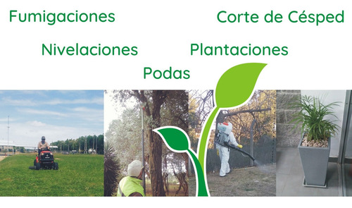 Imagen 2 de 3 de Servicios De Jardineria Yuyito
