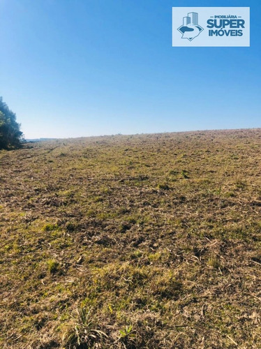 Imagem 7 de 9 de Fazenda A Venda No Bairro Centro Em Herval - Rs. - 2236-1