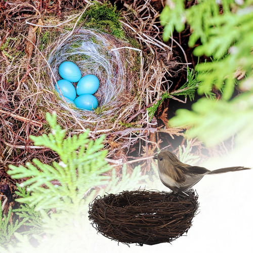 Naturaleza Nido De Pájaro Artificial Con Huevos Jaula Gris