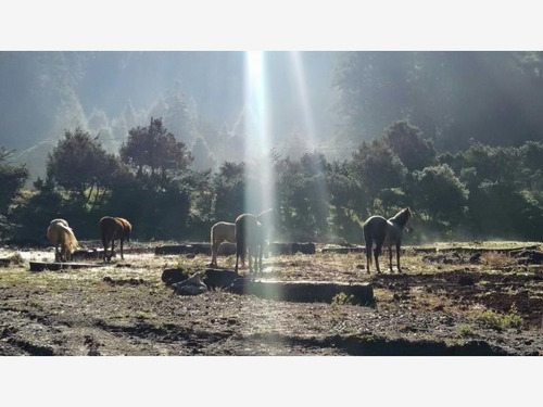 Imagen 11 de 12 de Terreno En Venta Bonito Bosque Para Tu Cabaña! Fracc Residencial Campestre!