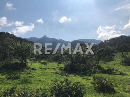 Terreno En Venta.