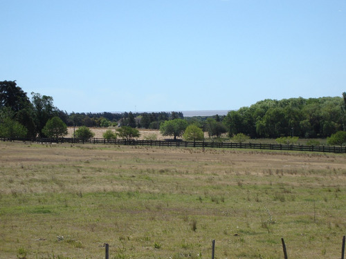 Campo 1ha-1,5ha,lago,vistas,cerca Pza Toros Colonia Dde65mil