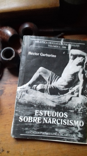Garbarino // Estudios Sobre Narcisismo