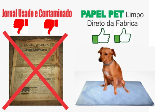 Jornal Pet Papel Limpo Higiênico P Cães P/m 400un Absorvente