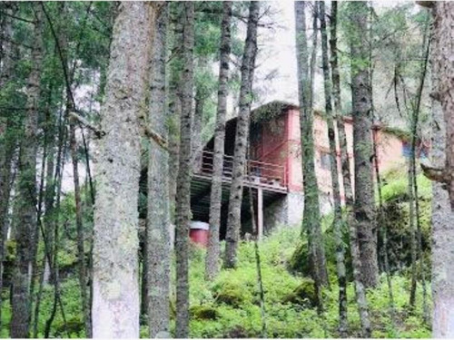 Imagen 6 de 12 de Terreno En Venta ¡todas Las Bondades Y Magestusidad Del Bosque A Tu Alcance! Lotes A Crédito