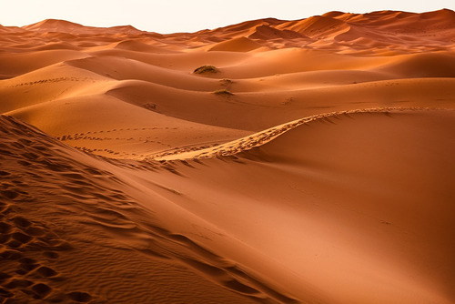 Fundo Fotográfico Tecido Deserto Do Saara 3,00m X 1,70m