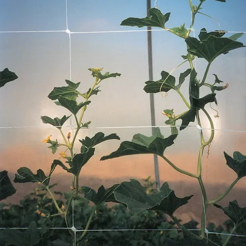 comprar Malla Para Cultivos - Redes Para El Agro - Uru.red