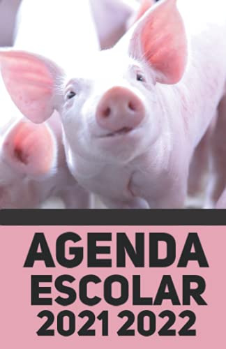 Agenda Escolar 2021 2022: Agenda Cerdo Diario Con Vacaciones