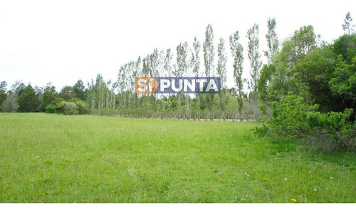 Imagen 8 de 10 de Chacra A La Venta En Laguna Del Sauce
