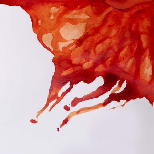 Bote De Tinta Para Dibujo Winsor Newton 30 Ml