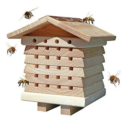 Mundial Para La Naturaleza Interactiva Mason Bee Gestión De 