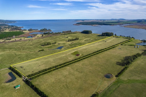 Imagen 2 de 16 de Venta De Chacra En Laguna Del Sauce, Punta Ballena