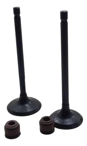 Valvulas Adm Y Escp Apache 180 / 160 Con Sellos