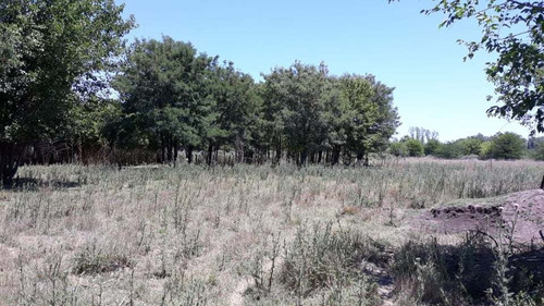 Imagen 3 de 5 de Lote De 2 Hectareas