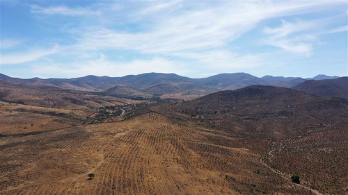 Venta Terreno De 11 Ha En Higueritas Unidas, Ovalle