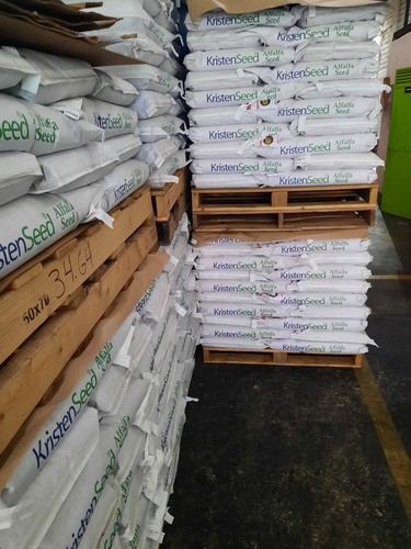 Semilla De Alfalfa San Miguelito Peletizada 20 Kg Kristen Seed